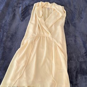 Aritzia dress